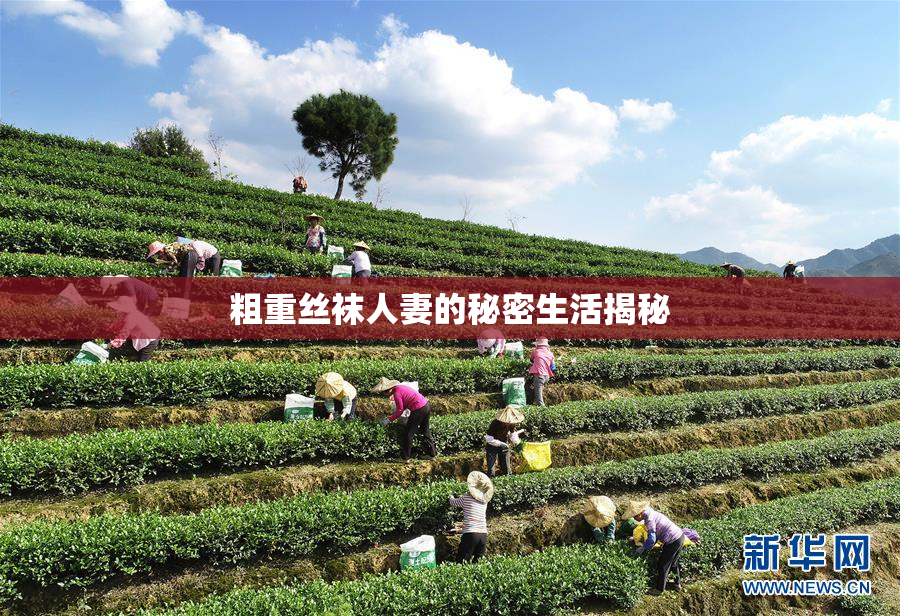 粗重丝袜人妻的秘密生活揭秘