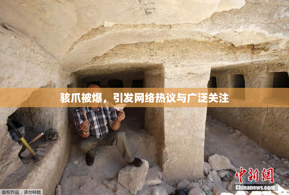 骇爪被爆，引发网络热议与广泛关注