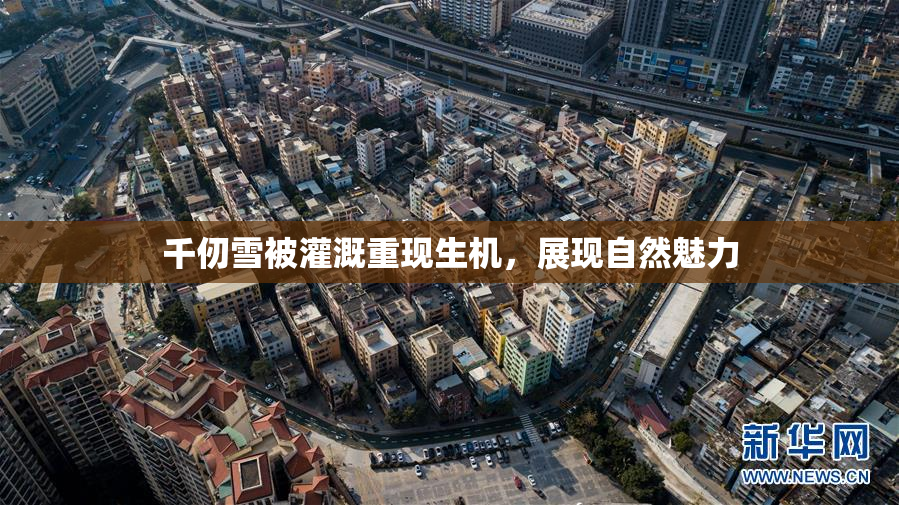 千仞雪被灌溉重现生机，展现自然魅力