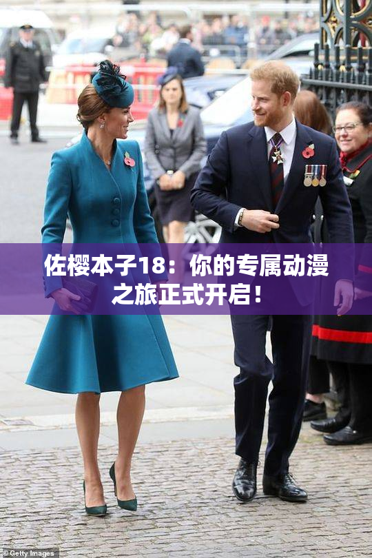 佐樱本子18：你的专属动漫之旅正式开启！