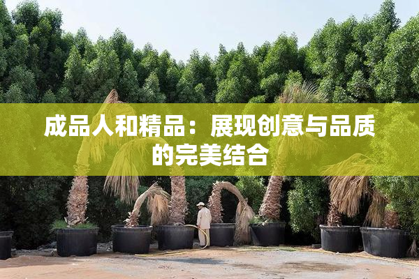 成品人和精品：展现创意与品质的完美结合