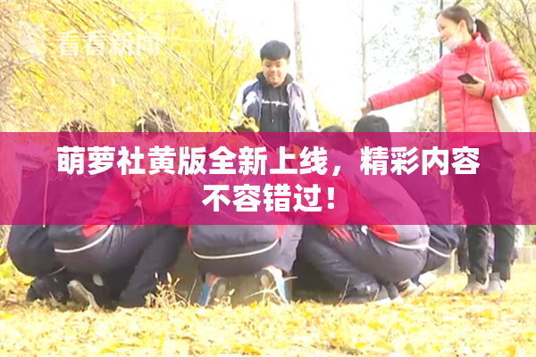 萌萝社黄版全新上线，精彩内容不容错过！