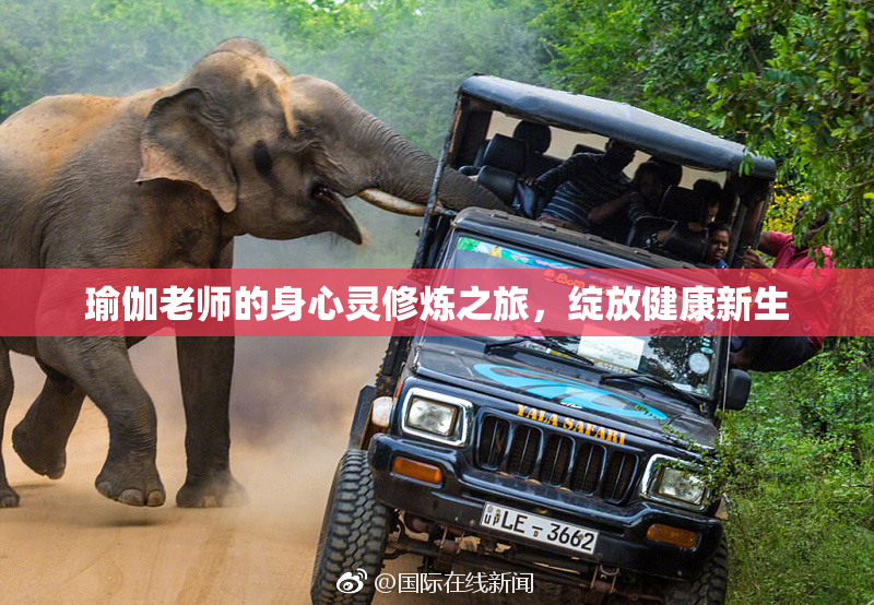 瑜伽老师的身心灵修炼之旅，绽放健康新生