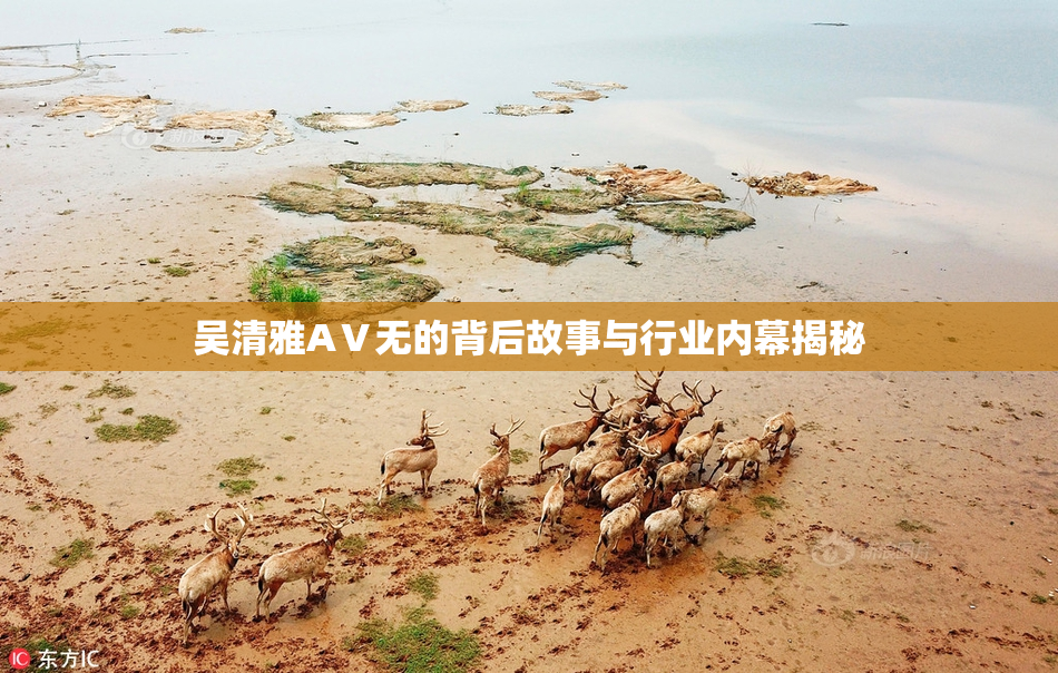 吴清雅AⅤ无的背后故事与行业内幕揭秘
