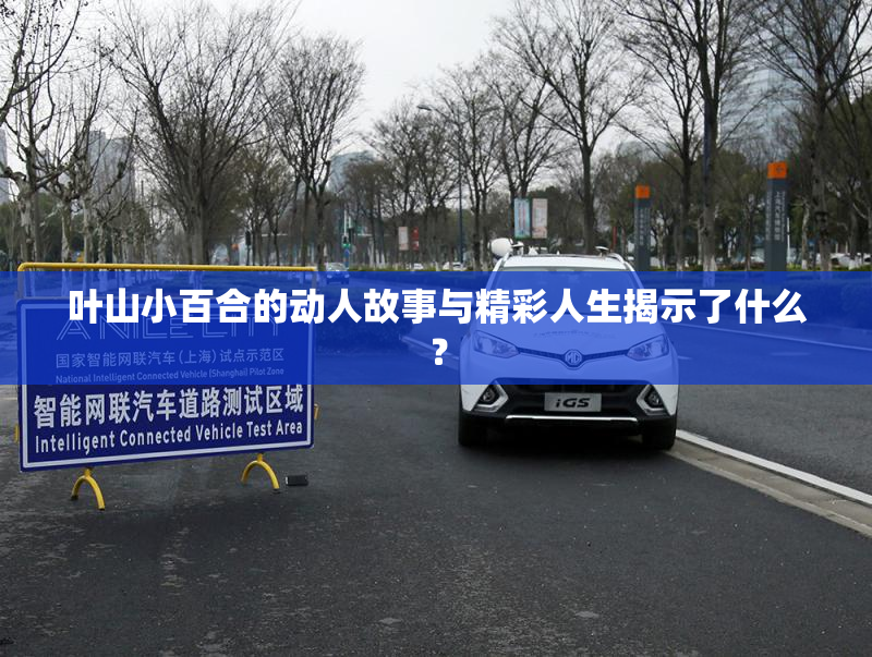 叶山小百合的动人故事与精彩人生揭示了什么？