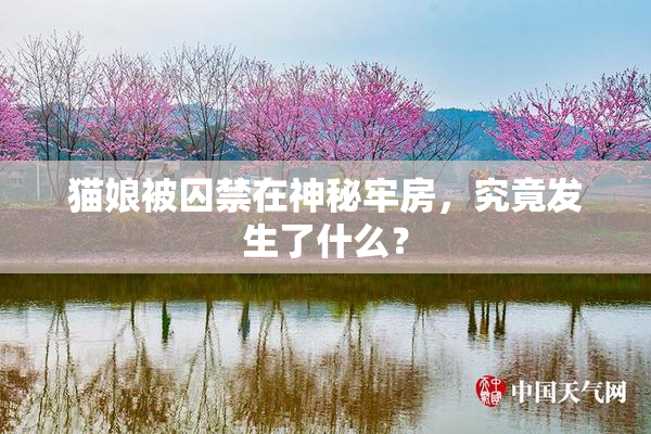 猫娘被囚禁在神秘牢房，究竟发生了什么？
