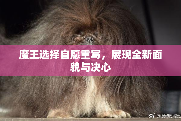 魔王选择自愿重写，展现全新面貌与决心