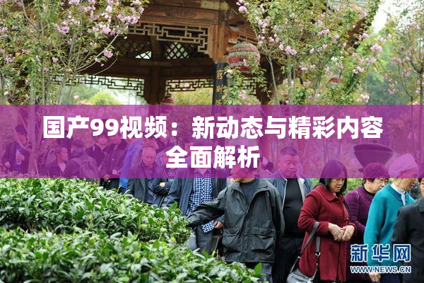 国产99视频：新动态与精彩内容全面解析