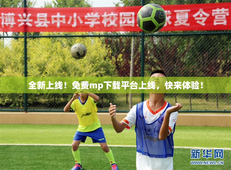 全新上线！免费mp下载平台上线，快来体验！