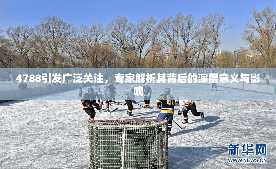 4788引发广泛关注，专家解析其背后的深层意义与影响