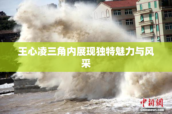 王心凌三角内展现独特魅力与风采