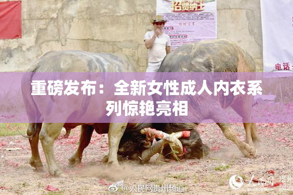 重磅发布：全新女性成人内衣系列惊艳亮相