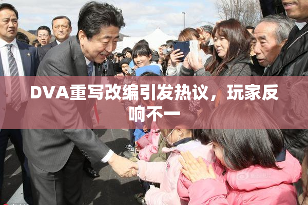 DVA重写改编引发热议，玩家反响不一