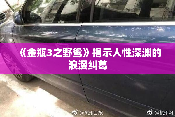 《金瓶3之野鸳》揭示人性深渊的浪漫纠葛