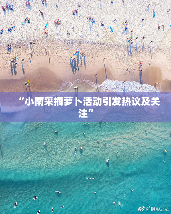 “小南采摘萝卜活动引发热议及关注”