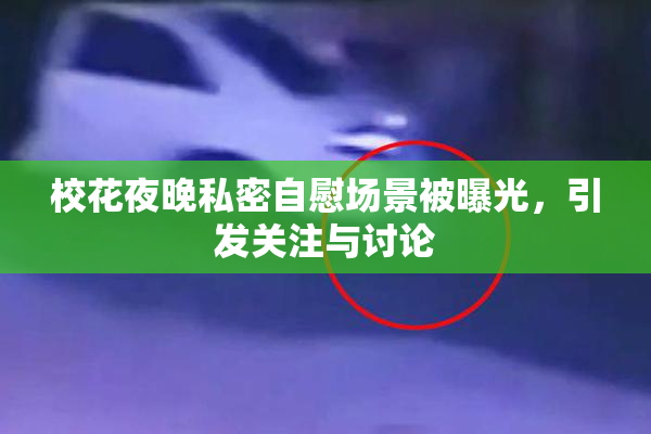 校花夜晚私密自慰场景被曝光，引发关注与讨论