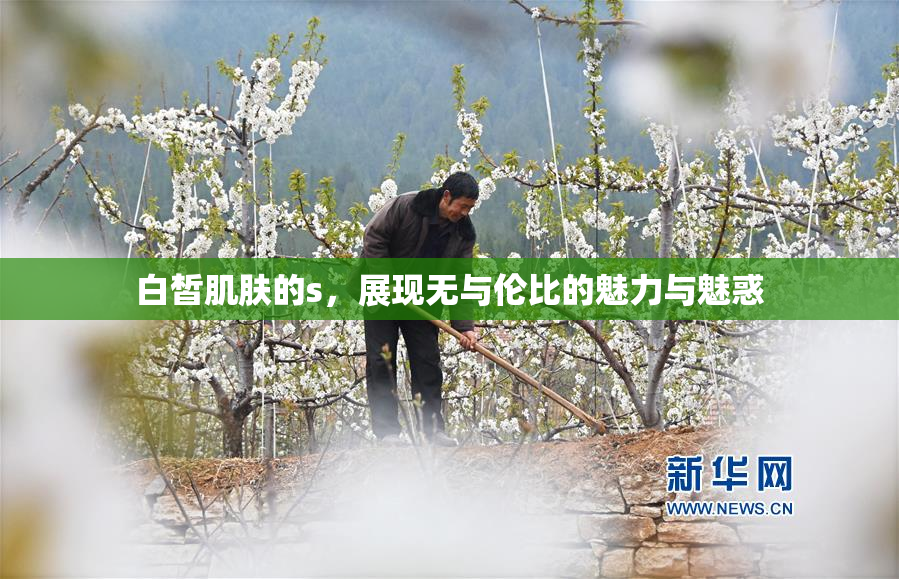 白皙肌肤的s，展现无与伦比的魅力与魅惑