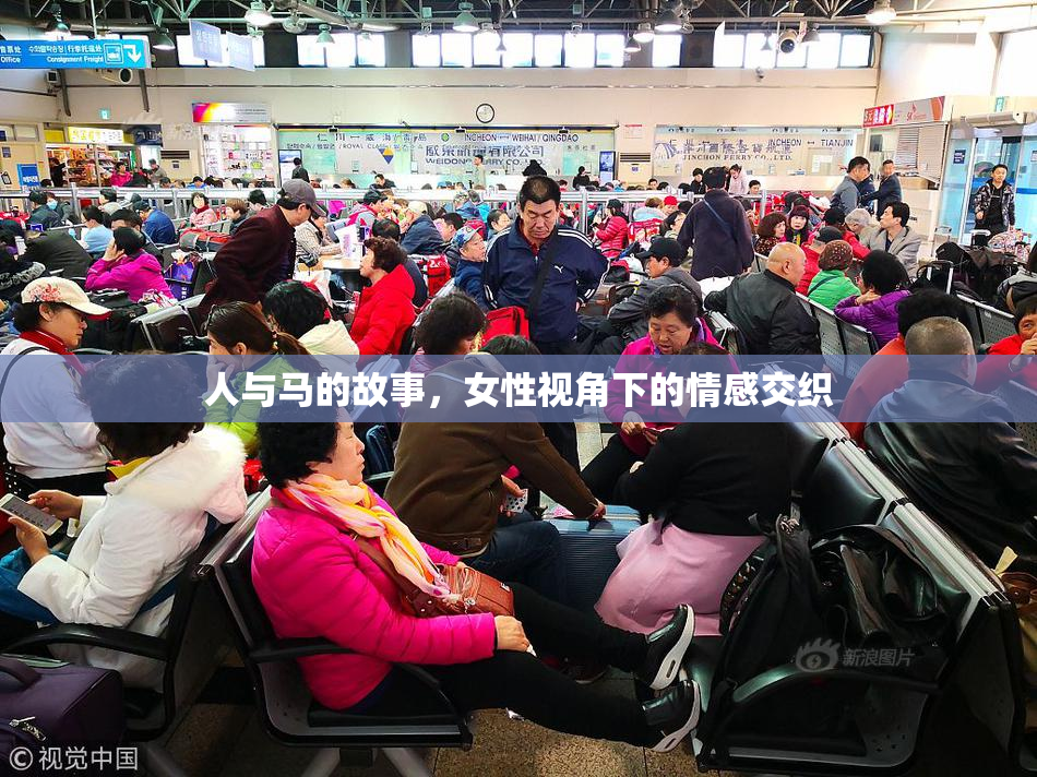 人与马的故事，女性视角下的情感交织