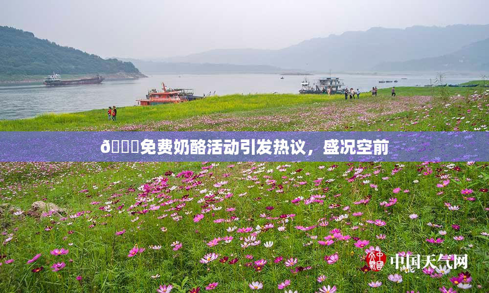 🔞免费奶酪活动引发热议，盛况空前