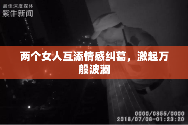 两个女人互添情感纠葛，激起万般波澜