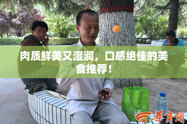 肉质鲜美又湿润，口感绝佳的美食推荐！