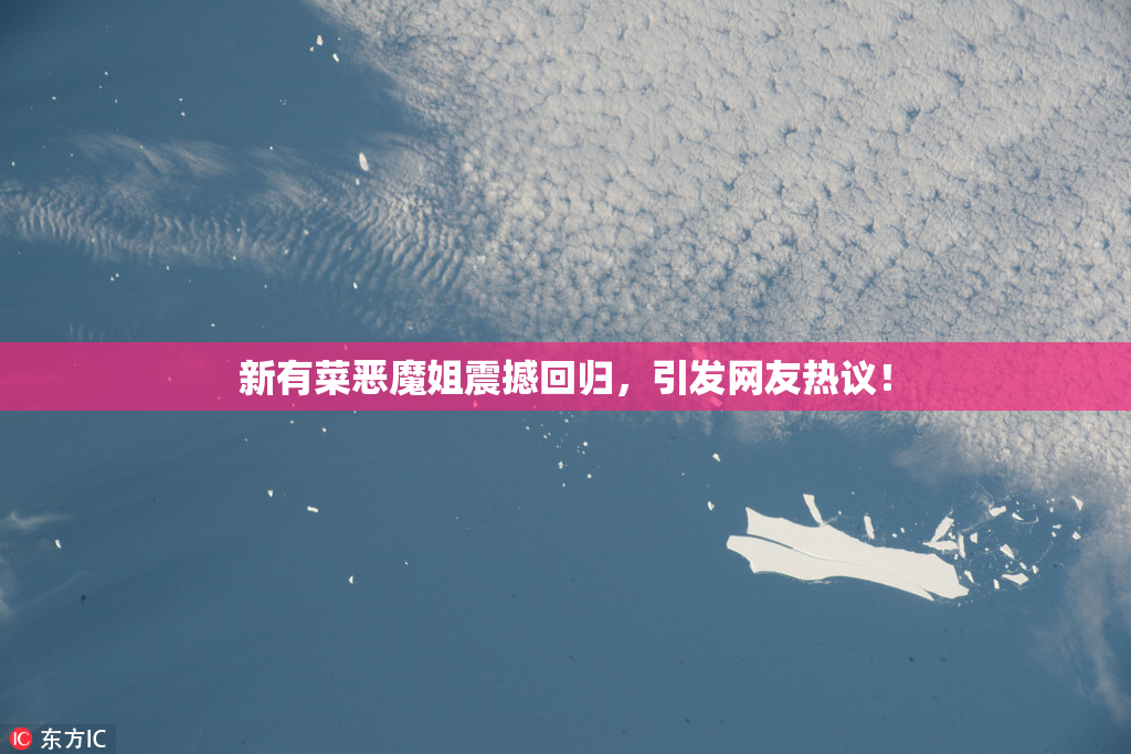 新有菜恶魔姐震撼回归，引发网友热议！