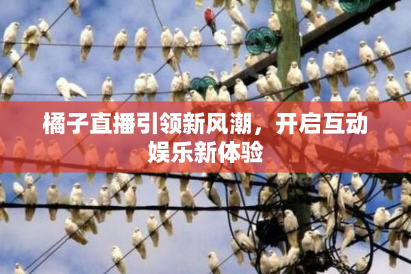 橘子直播引领新风潮，开启互动娱乐新体验