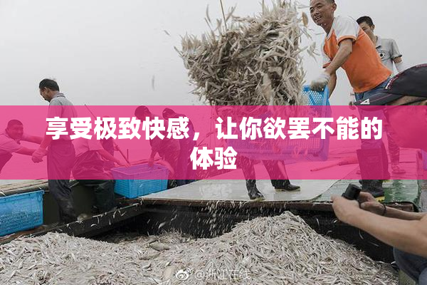 享受极致快感，让你欲罢不能的体验