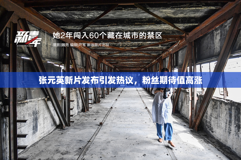 张元英新片发布引发热议，粉丝期待值高涨