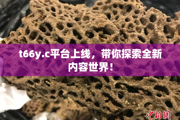 t66y.c平台上线，带你探索全新内容世界！