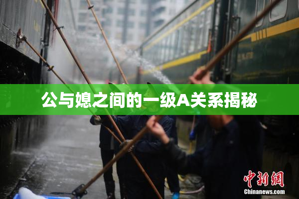 公与媳之间的一级A关系揭秘
