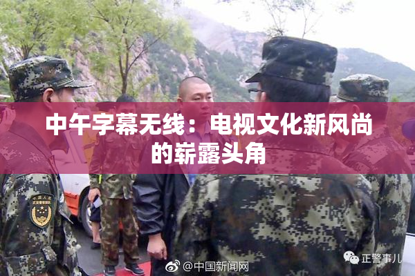 中午字幕无线：电视文化新风尚的崭露头角