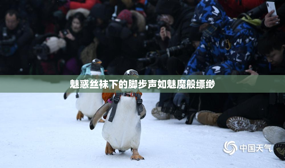 魅惑丝袜下的脚步声如魅魔般缥缈