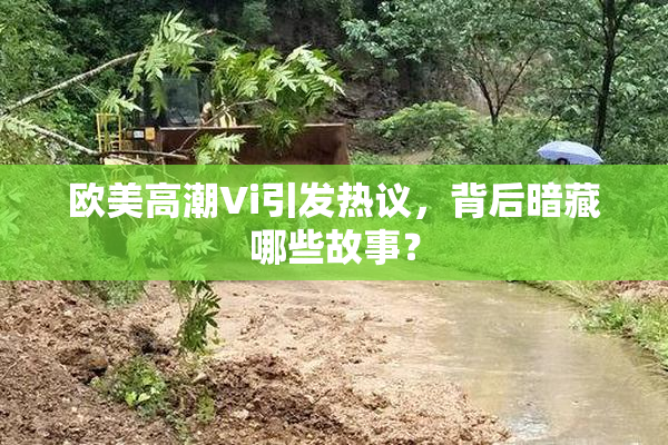 欧美高潮Vi引发热议，背后暗藏哪些故事？