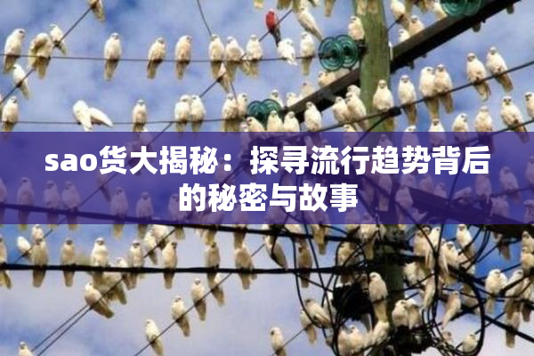sao货大揭秘：探寻流行趋势背后的秘密与故事