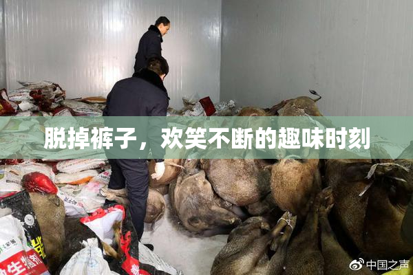 脱掉裤子，欢笑不断的趣味时刻