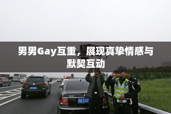 男男Gay互重，展现真挚情感与默契互动