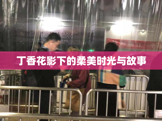 丁香花影下的柔美时光与故事