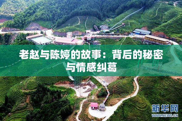 老赵与陈婷的故事：背后的秘密与情感纠葛