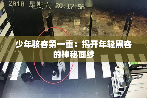 少年骇客第一重：揭开年轻黑客的神秘面纱