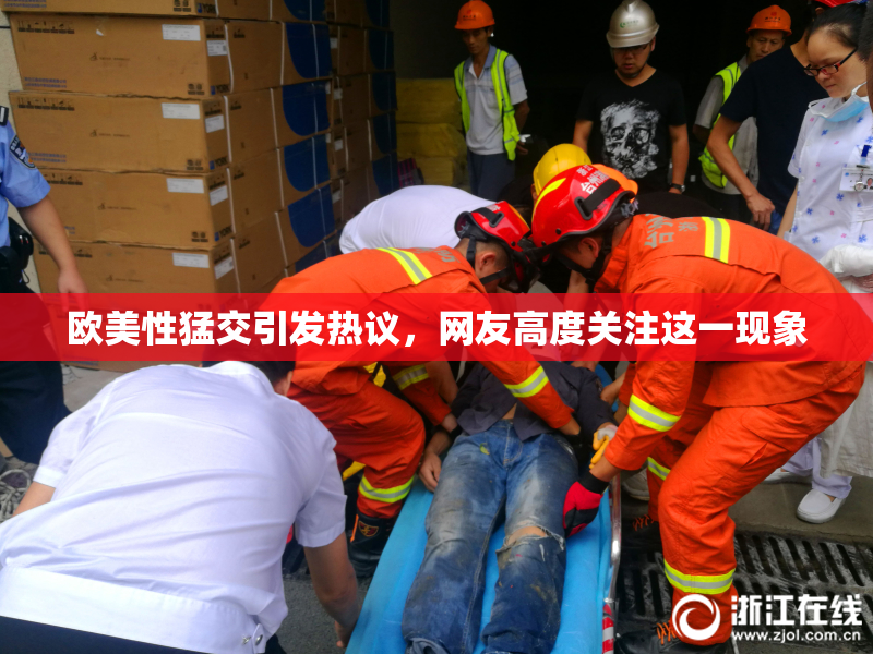 欧美性猛交引发热议，网友高度关注这一现象