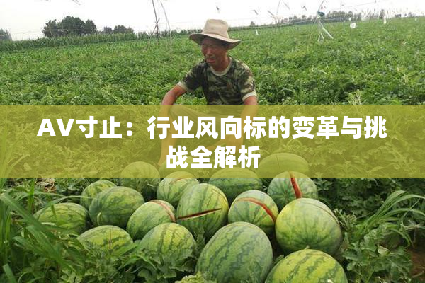 AV寸止：行业风向标的变革与挑战全解析