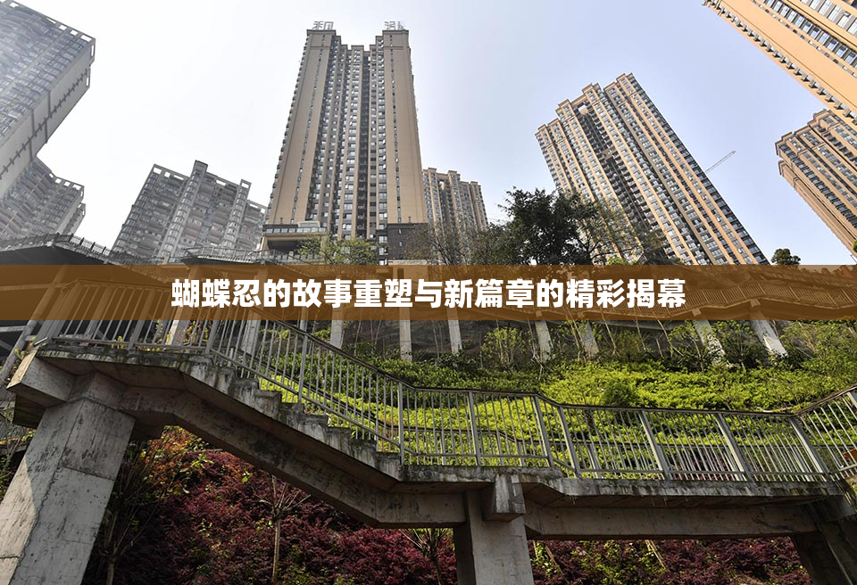 蝴蝶忍的故事重塑与新篇章的精彩揭幕