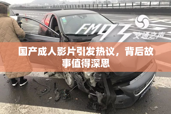 国产成人影片引发热议，背后故事值得深思