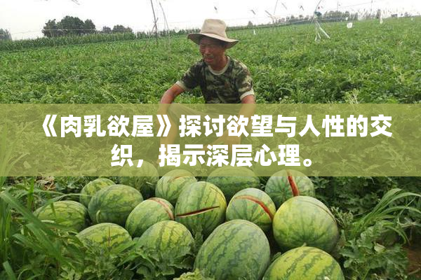 《肉乳欲屋》探讨欲望与人性的交织，揭示深层心理。
