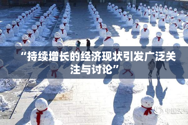 “持续增长的经济现状引发广泛关注与讨论”