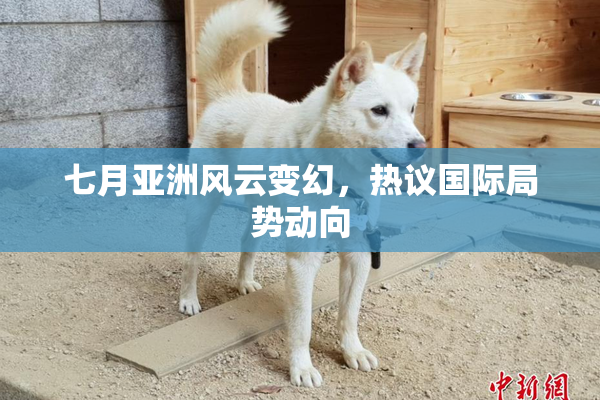 七月亚洲风云变幻，热议国际局势动向