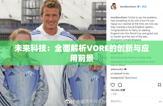 未来科技：全面解析VORE的创新与应用前景