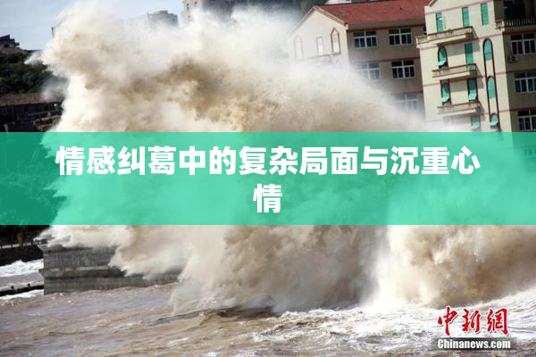 情感纠葛中的复杂局面与沉重心情