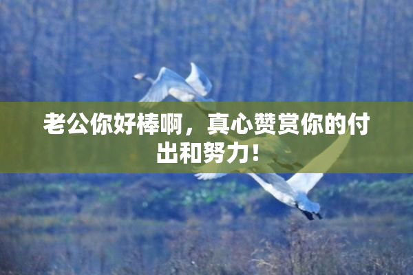 老公你好棒啊，真心赞赏你的付出和努力！